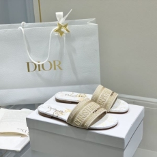 Christian Dior Slippers